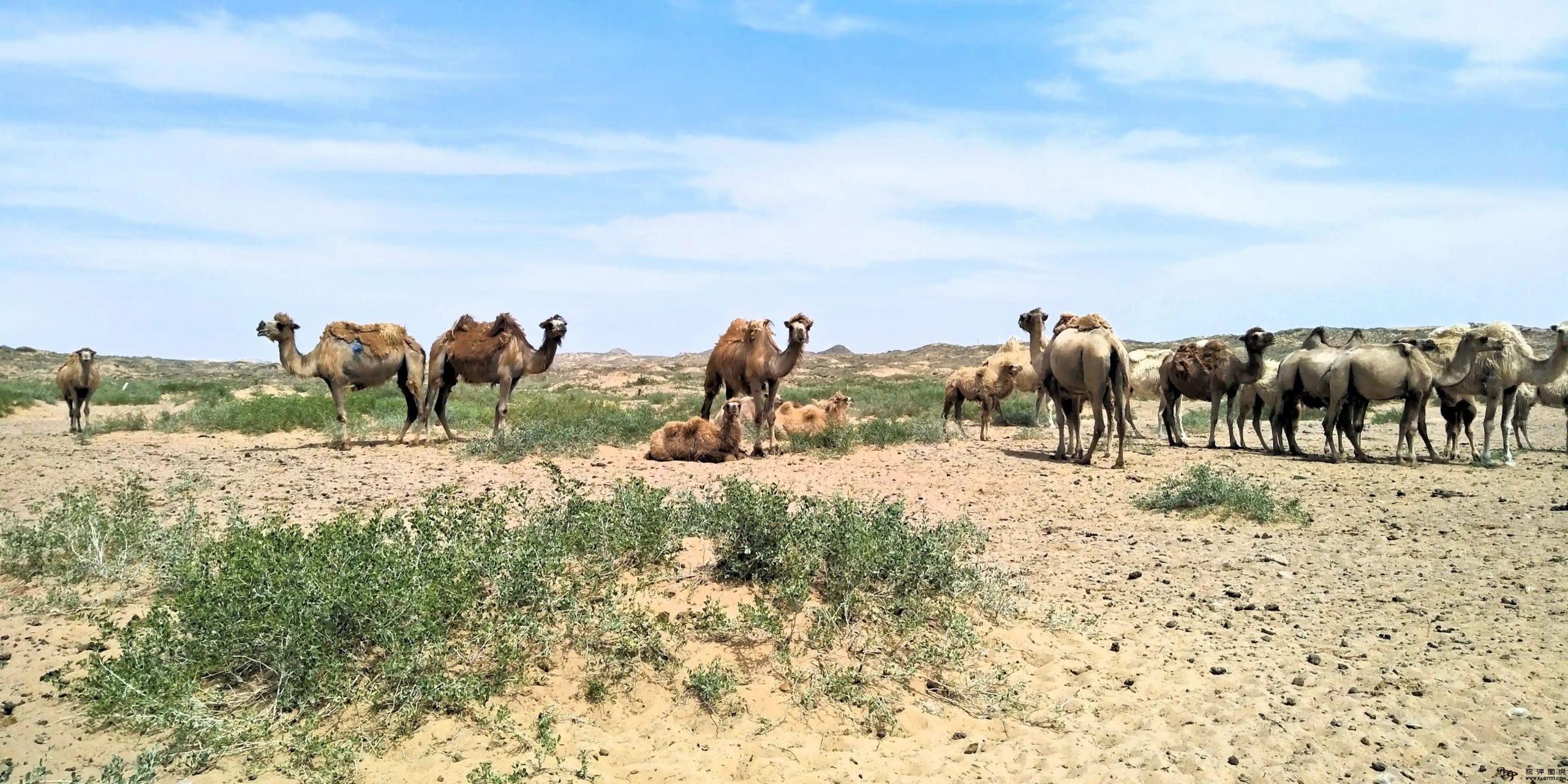 骗子到底是跟谁学的套路