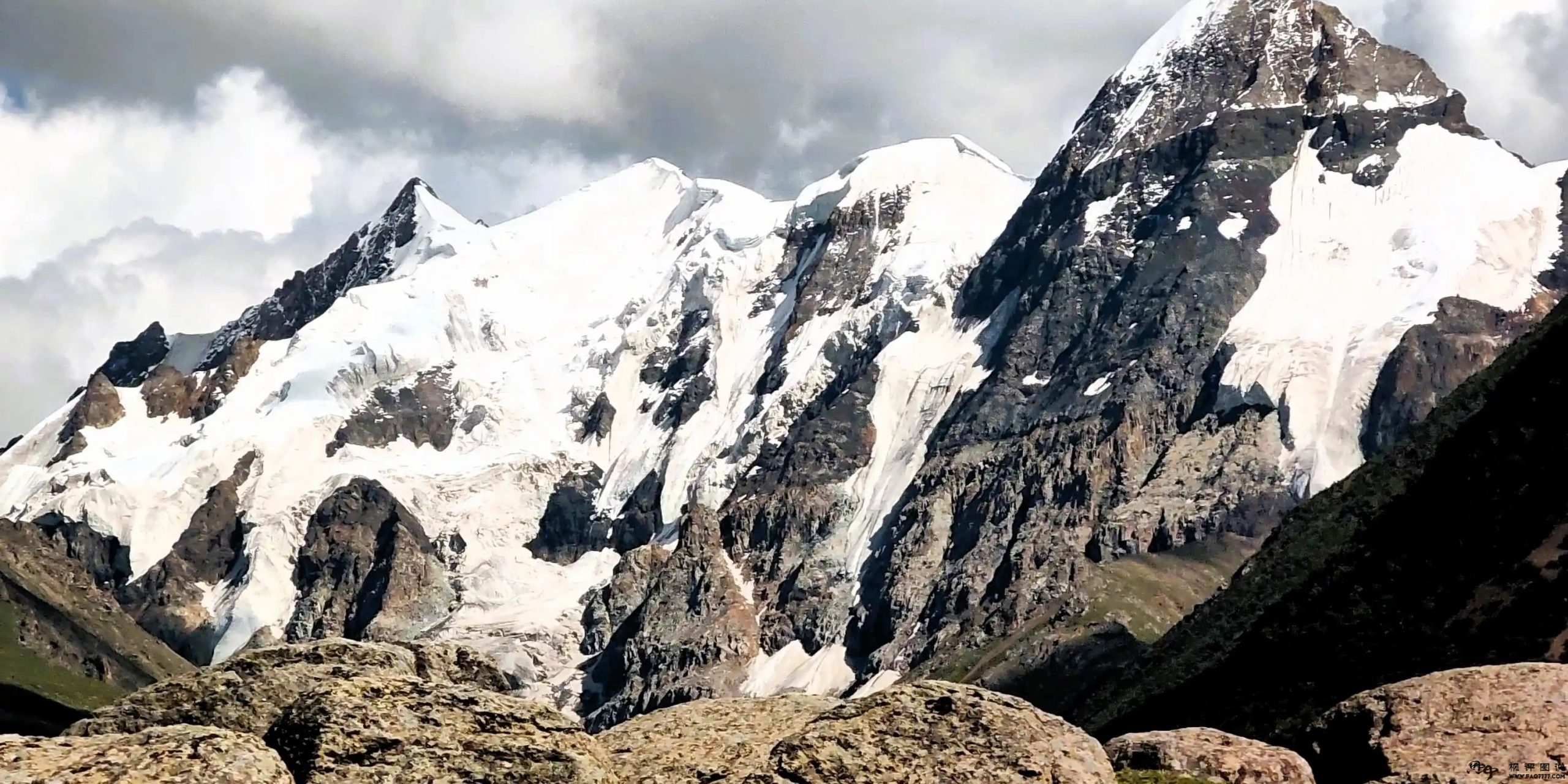 喂狗看门，养犬护院