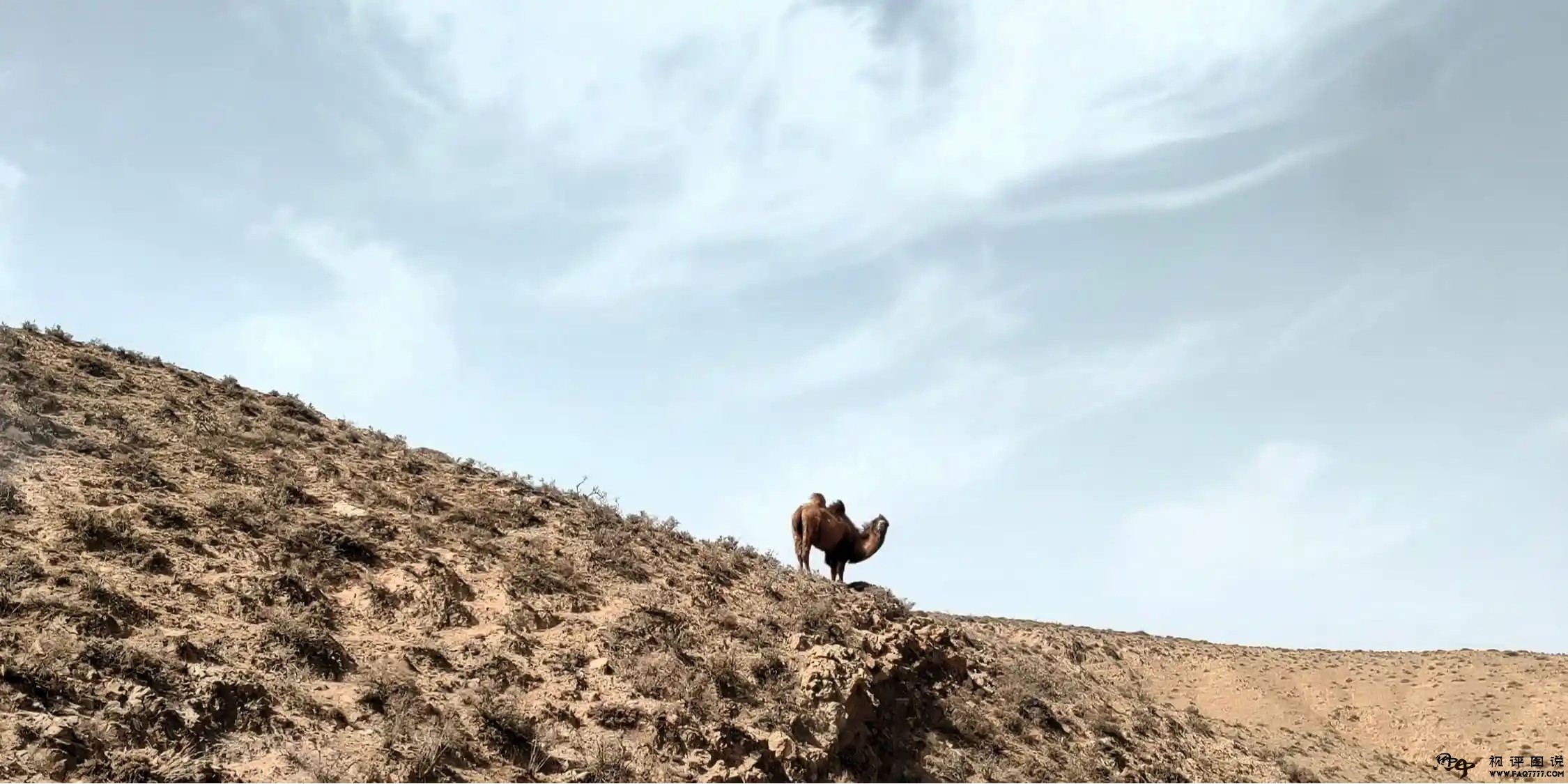 内鬼 内奸 汉奸