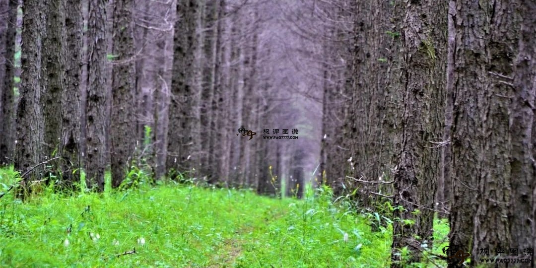 没有走完的草原天路