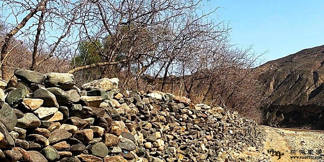 官大成帮，不反则贪