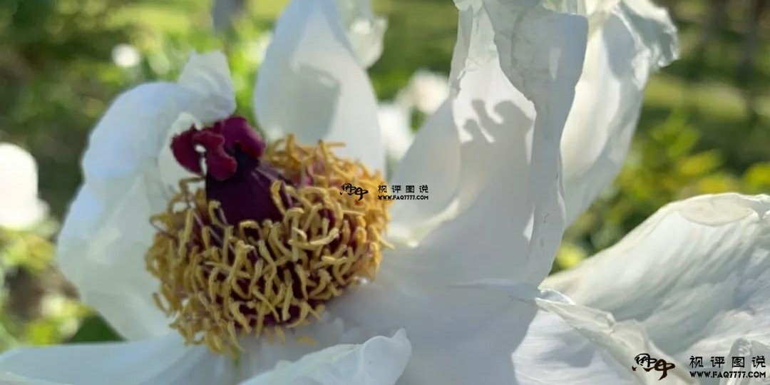 一个闲人，最多的是时间