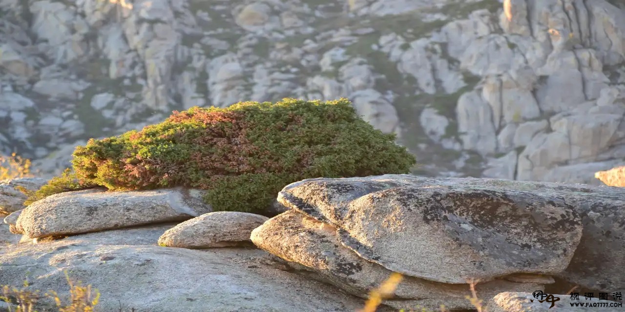 镜头下的风景