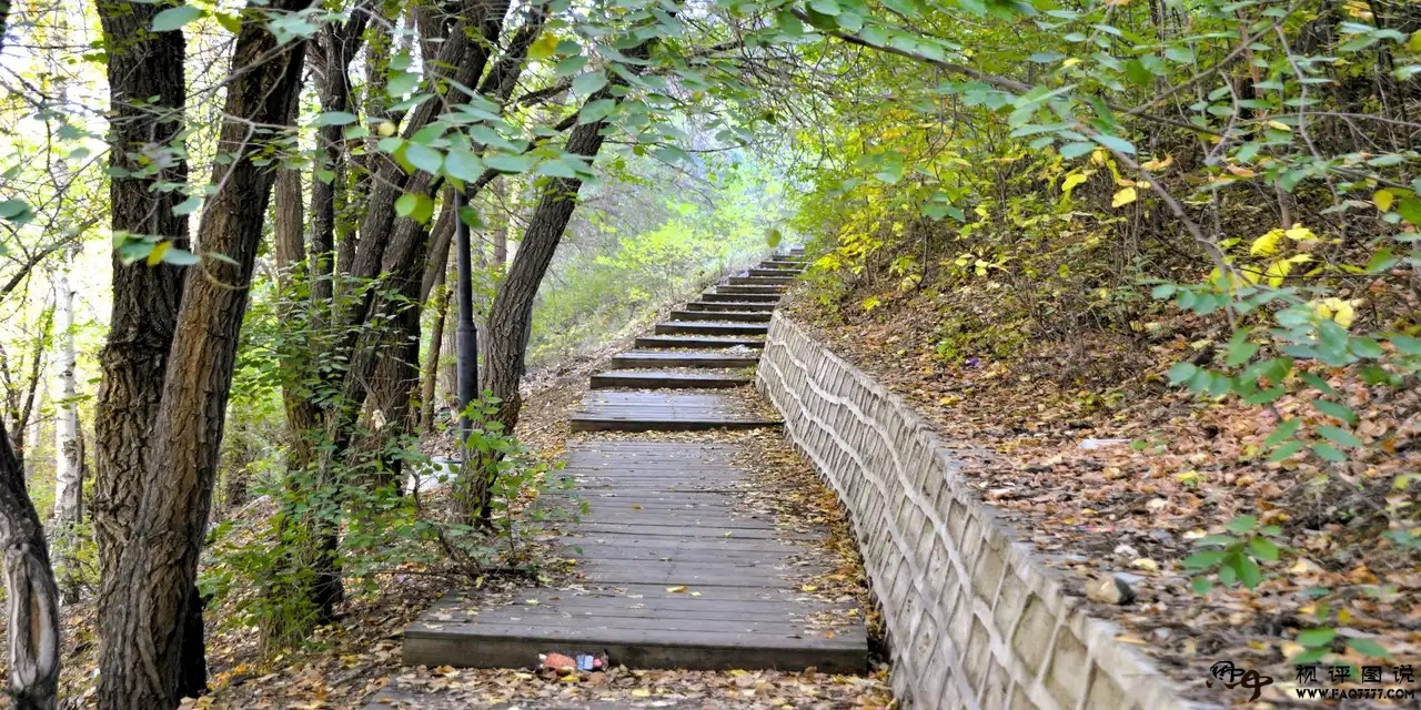 网上造绩