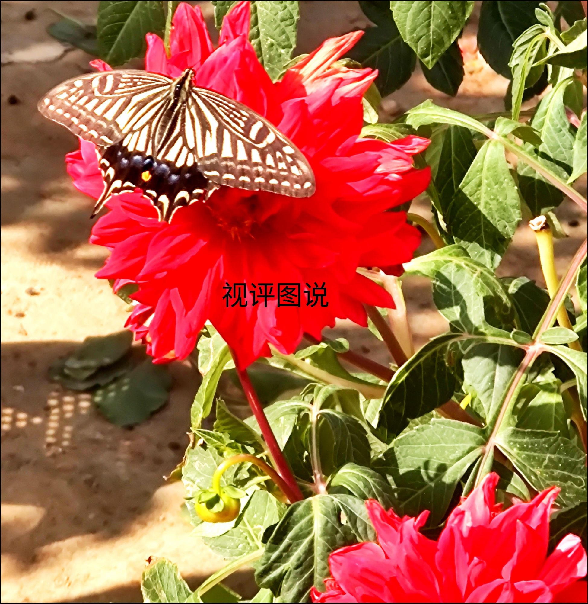 人心易变