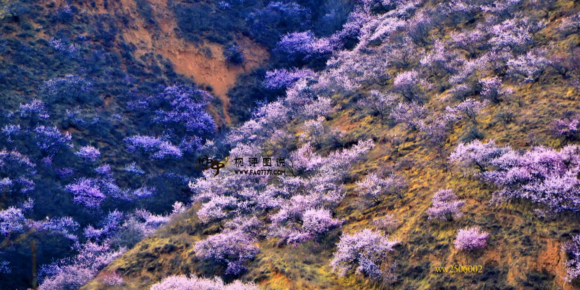 到底有没有桃花源