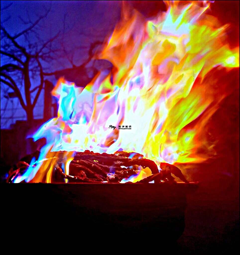 暖春拜年，心随意动——致每一位与光同行的你