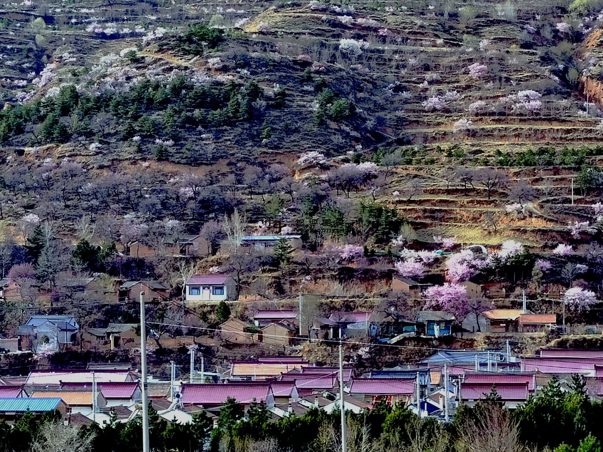 以十年前装聋作哑，十年后昏昏欲睡