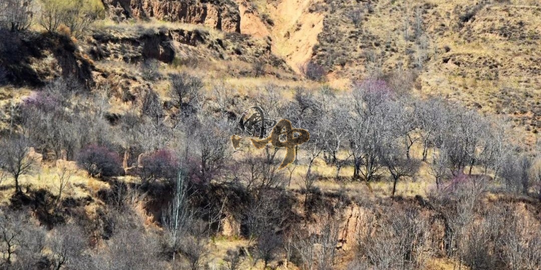 就是这个山沟沟
